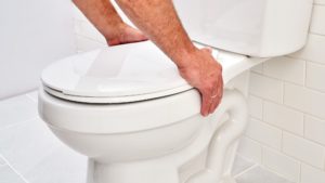 5 Ways To Install Toilet In San Diego