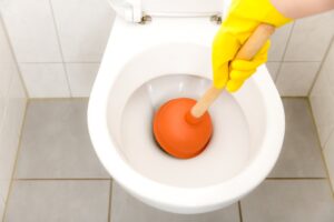 5 Tips To Unclog Your Toilet DIY In San Diego
