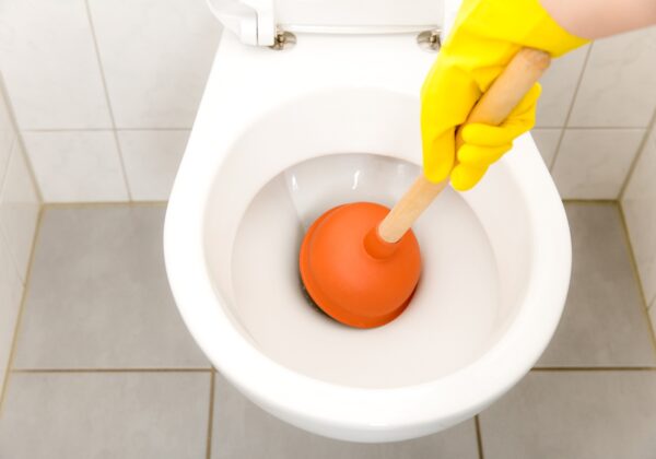 5 Tips To Unclog Your Toilet DIY In San Diego