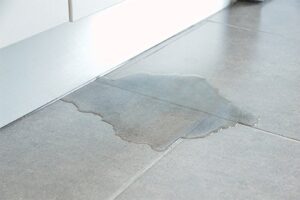Unveiling the Signs of a Slab Leak A Comprehensive Guide In San Diego