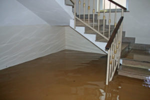 Flood Restoration Service San Diego
